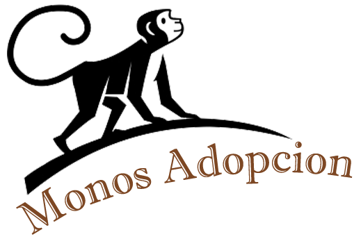 Monos Para Adopcion